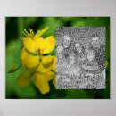 Recherche de joli posters Fleur sauvage