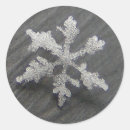 Recherche de cristaux de glace autocollants Hiver
