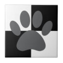 Recherche de chien blanc carreaux Noir
