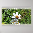 Recherche de occupé posters Abeille