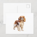 Suche nach dog art postkarten Hund