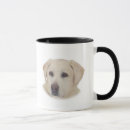 Recherche de reggie Animal