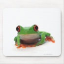 Suche nach rote augen mousepads Tier