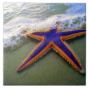 Suche nach waves fliesen Strand