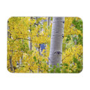 Recherche de montagne magnets Nature