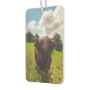 Recherche de haut voiture accessoires Vache à haute altitude