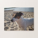 Recherche de chien de jouet puzzles Été