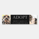 Suche nach tieradoption Haustier
