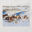 Suche nach laufende hors Schnee