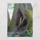 Suche nach baum wurzeln postkarten Natur