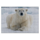 Recherche de ours planches à découper Arctique