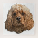 Suche nach cocker spaniel puzzle Niedlich