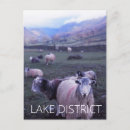 Suche nach lake district postkarten See