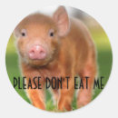 Recherche de fente autocollants Animaux