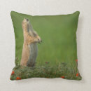 Suche nach krankheit kissen Höhnisch