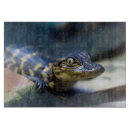 Recherche de alligator planches à découper Faune