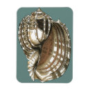 Recherche de encadrement maison magnets Mer