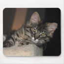 Suche nach große ohren mousepads Tiere