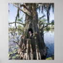 Suche nach caddo poster See