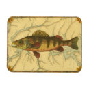 Suche nach fischer magnete Fluss