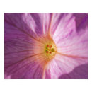 Suche nach makro poster Natur