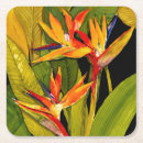 Recherche de oiseau dessous de verres Botanique