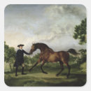 Suche nach stallions aufkleber Wild