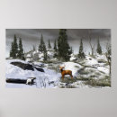 Suche nach fichte poster Frost