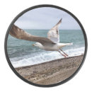 Recherche de etretat Étretat