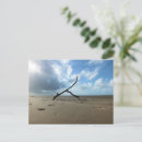 Recherche de nuageux cartes postales Plage