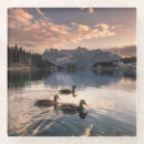 Suche nach dolomit untersetzer Italien
