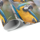 Recherche de aras papier cadeau Oiseau