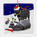 Suche nach esel ornamente Grau