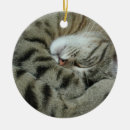 Suche nach süße träume ornamente Niedlich