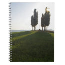 Suche nach warm kleine notizbücher Ernte