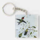 Suche nach kolibris schlüsselanhänger Vögel
