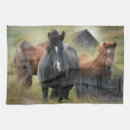 Recherche de grange cuisine linges Chevaux