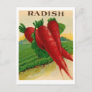 Recherche de radiateur cartes postales Légumes