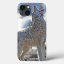 Recherche de latrans de canis Chien