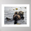 Suche nach monterey poster Kalifornien