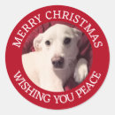 Suche nach weihnachten niedlich aufkleber Einfach