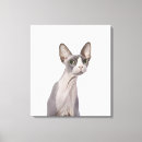 Suche nach überrascht kunst Katzen