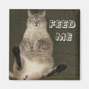 Recherche de le chat magnets Humour