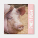 Suche nach piggy magnete Bauernhof