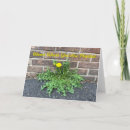 Suche nach unkräuter karten Unkraut