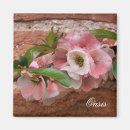 Recherche de plante fleurissant magnets Nature