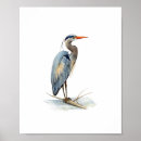 Suche nach reiher poster Vogel