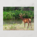 Suche nach montana landschaft postkarten Usa