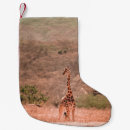Suche nach giraffe weihnachts strümpfe Natur