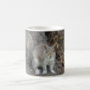 Recherche de écureuil blanc tasses Gris